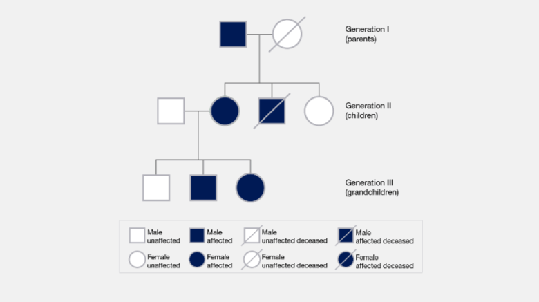 Learning Through Art: Human Pedigree Analysis