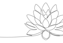 Outline:-Jy6pup6w6q= Lotus Flower