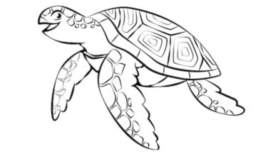 Outline:-X-Vgtxjku0= Turtle Drawing