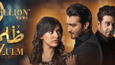 Drama Zulm Cast: A Look at the Cast Behind the Drama Zulm