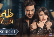 Zulm Drama Cast: Meet the Cast of Zulm Drama and Their Roles