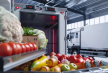 From Farm to Fridge: How Cold-Chain Logistics Keep Things Fresh