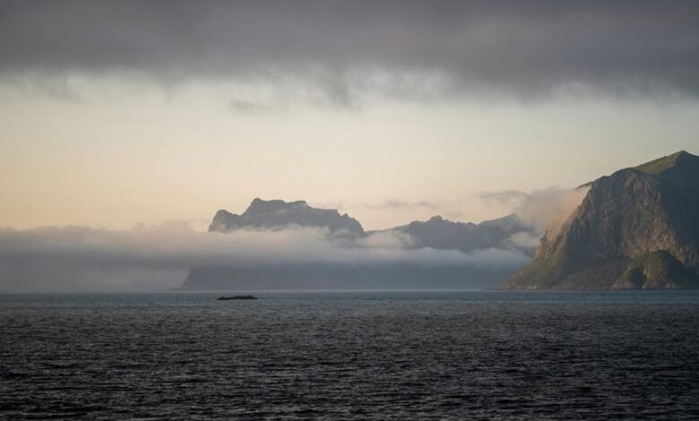 market data analysis report