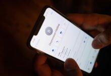 corporate hotline verification number