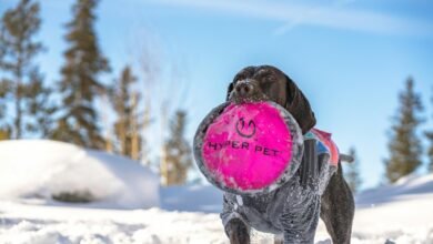 hyper flow stellar beam