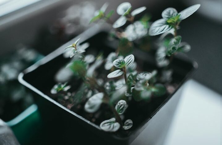 innovative problem solving strategies