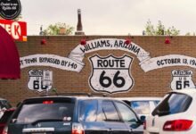 market route competitive analysis