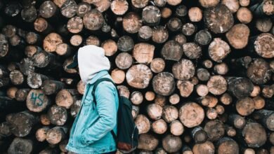 surukuku online interaction analysis