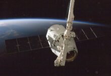 vertex surge growth orbit